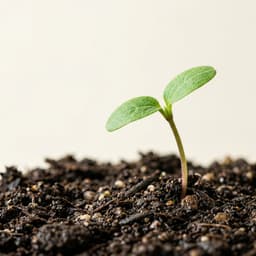 Living Soil