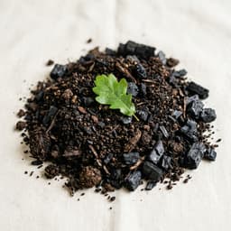 Biochar & Compost