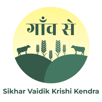 SVKK Logo