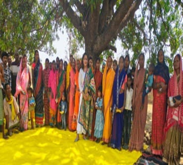 Vedic Cattle Care & Farm Pastures