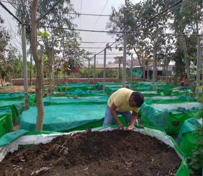 SVKK vermicompost production and dairy operations in Sikhar, Mirzapur