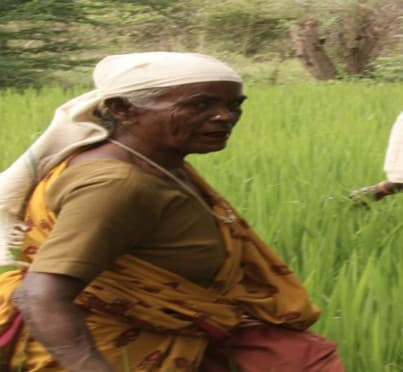 Women farmers working with soil and vermicompost