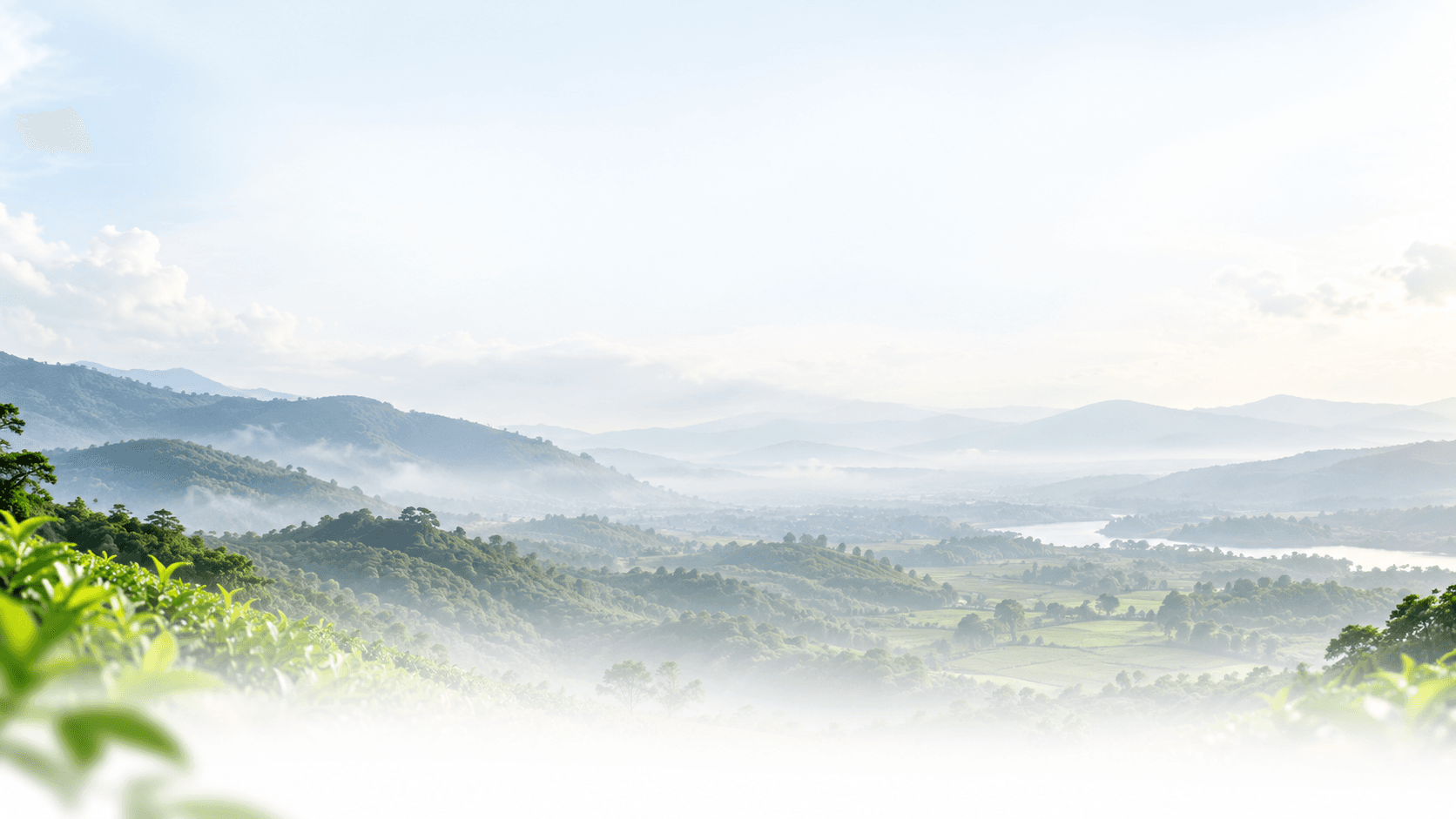 SVKK Contact Banner